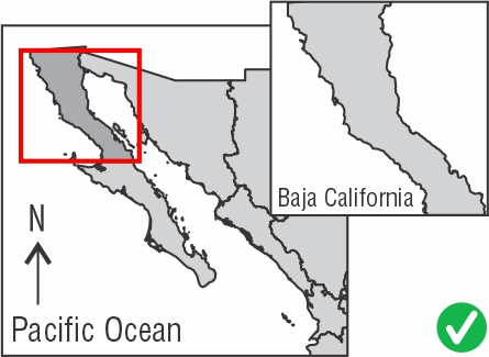 MapExample